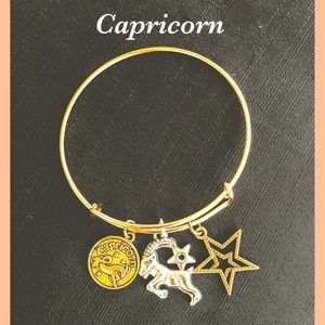 Capricorn ♑️ coin charm bangle bracelet